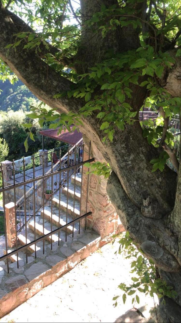 Holiday Home La Musica Budva Pokoj fotografie